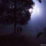 «Ночь света» в Гатчине