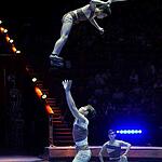  Всемирный фестиваль циркового искусства ИДОЛ-2014