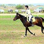 8 сезон международного конного турнира по троеборью прошел в Раменском