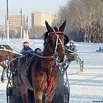 Один морозный день на Московском ипподроме