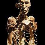 Тайны тела: анатомия для всех