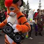 Dreamflash прошел в дождливой Москве