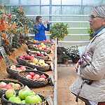 Фестиваль «Краски осени»