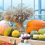 Фестиваль «Краски осени»