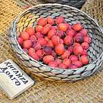 Фестиваль «Краски осени»