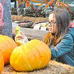 Фестиваль «Краски осени»