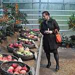 Фестиваль «Краски осени»