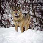 Съемки фильма о Новороссии