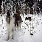 Съемки фильма о Новороссии