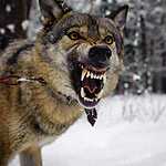 Съемки фильма о Новороссии