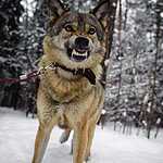 Съемки фильма о Новороссии