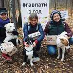 Гавпати отметила свою первую годовщину