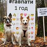 Гавпати отметила свою первую годовщину