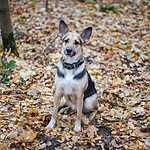 Гавпати отметила свою первую годовщину