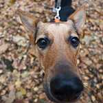 Гавпати отметила свою первую годовщину