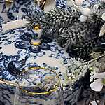 Императорский фарфоровый завод 