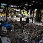 Деревня в Камбодже