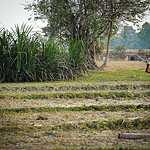 Деревня в Камбодже