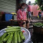 Проливной дождь в городе огненного Феникса