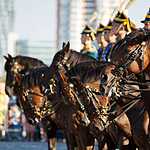 Кремлевская школа верховой езды