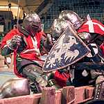 «Кубок Динамо 2015»