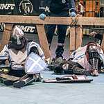 «Кубок Динамо 2015»