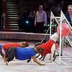 Премьера спектакля «Like РАШН»