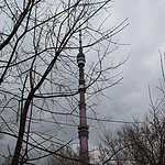 «Мисс Ostankino TV Tower» избрали на высоте