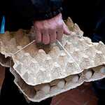 Самый большой холодец