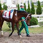 На Московском ипподроме разыграли Большой Всероссийский приз