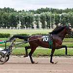 На Московском ипподроме разыграли Большой Всероссийский приз