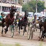 На Московском ипподроме разыграли Большой Всероссийский приз