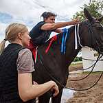 На Московском ипподроме разыграли Большой Всероссийский приз