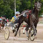 На Московском ипподроме разыграли Большой Всероссийский приз