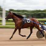 На Московском ипподроме разыграли Большой Всероссийский приз