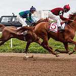 На Московском ипподроме разыграли Большой Всероссийский приз