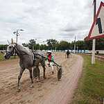 На Московском ипподроме разыграли Большой Всероссийский приз