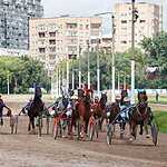 На Московском ипподроме разыграли Большой Всероссийский приз