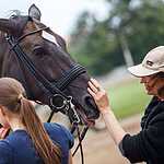На Московском ипподроме разыграли Большой Всероссийский приз