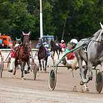 На Московском ипподроме разыграли Большой Всероссийский приз