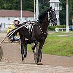 На Московском ипподроме разыграли Большой Всероссийский приз