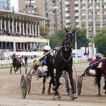 На Московском ипподроме разыграли Большой Всероссийский приз