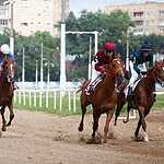 На Московском ипподроме разыграли Большой Всероссийский приз
