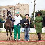 На Московском ипподроме разыграли Большой Всероссийский приз