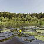 На веслах по реке Оке