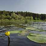 На веслах по реке Оке