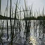 На веслах по реке Оке