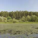 На веслах по реке Оке