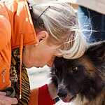 Выставка «Надо Брать! Осенью!»