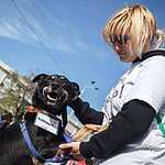 Выставка «Надо Брать! Осенью!»